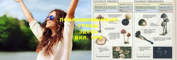 Альфа ПВП Заводоуковск