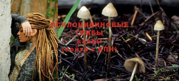 ГАЛЛЮЦИНОГЕННЫЕ ГРИБЫ Заволжск