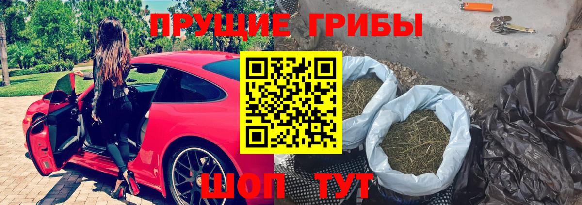 Тольятти  Галлюциногенные грибы ЛСД  Вход с VPN 